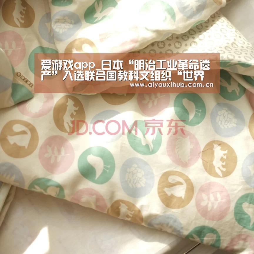 爱游戏app_日本“明治工业革命遗产”入选联合国教科文组织“世界遗产名录”(图3) 爱游戏官网
