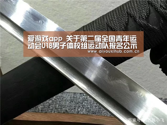 爱游戏app_关于第二届全国青年运动会U18男子体校组运动队