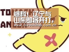 爆料！辽宁与山东即将开打，离揭幕战还有10天的时间|爱游戏a