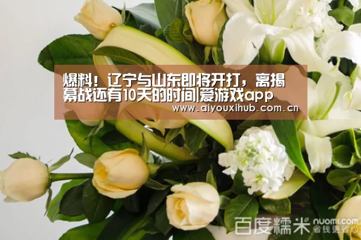 爆料!辽宁与山东即将开打,离揭幕战还有10天的时间|爱游戏app(图3) 爱游戏体育下载