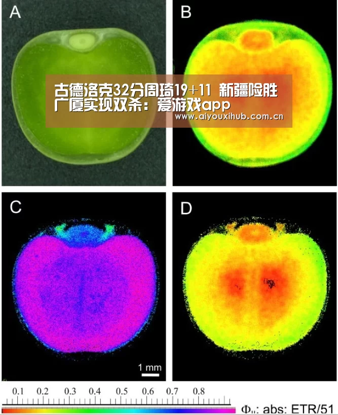古德洛克32分周琦19+11 新疆险胜广厦实现双杀:爱游戏app(图3) 爱游戏体育下载