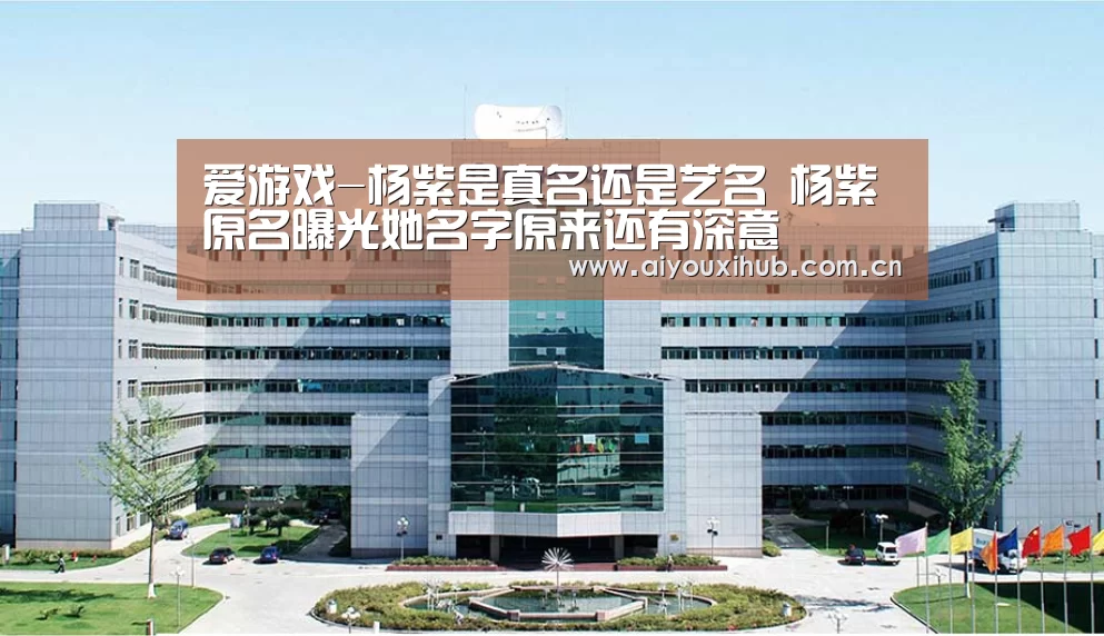 爱游戏-杨紫是真名还是艺名 杨紫原名曝光她名字原来还有深意(图2) 爱游戏官网
