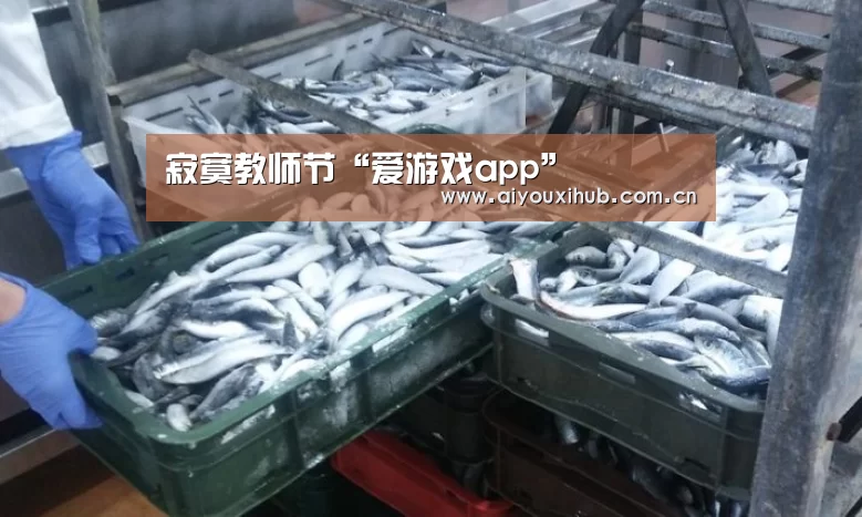 寂寞教师节“爱游戏app”