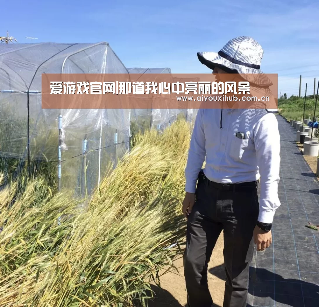 爱游戏官网|那道我心中亮丽的风景(图2) 爱游戏官网