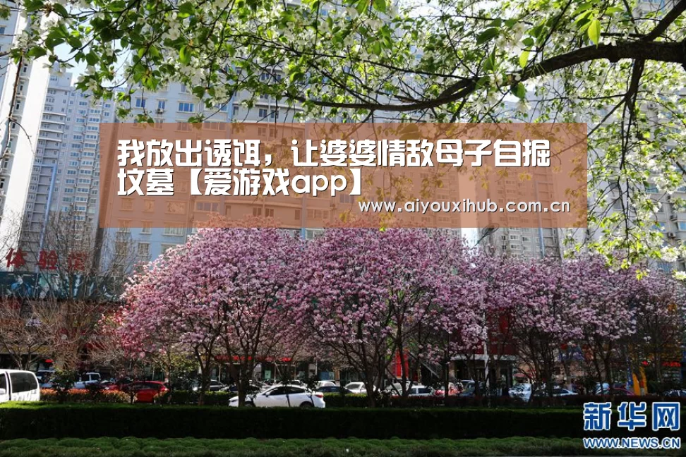 我放出诱饵,让婆婆情敌母子自掘坟墓【爱游戏app】(图2) 爱游戏