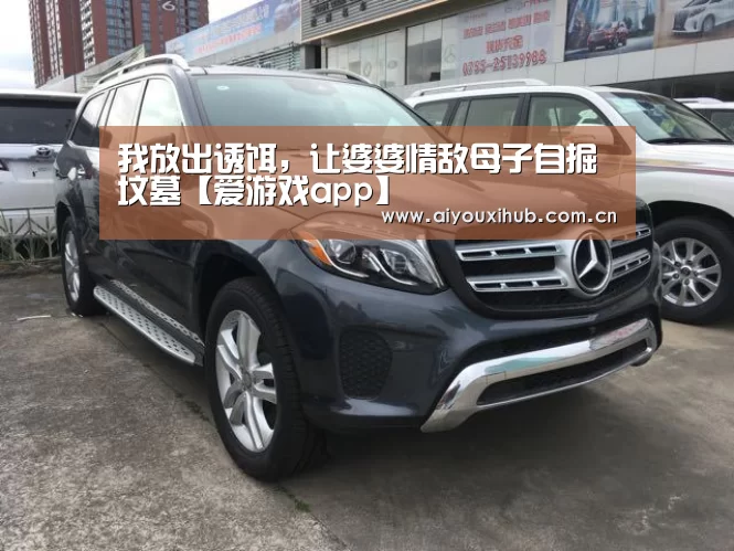我放出诱饵,让婆婆情敌母子自掘坟墓【爱游戏app】(图3) 爱游戏体育下载
