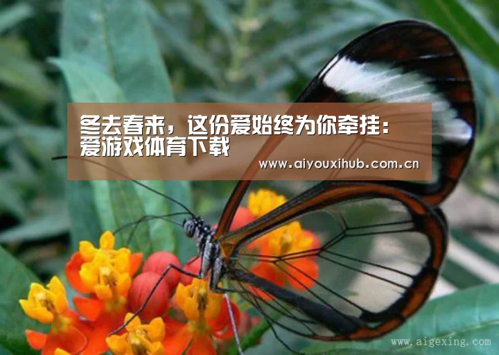 冬去春来,这份爱始终为你牵挂:爱游戏体育下载(图4) 爱游戏