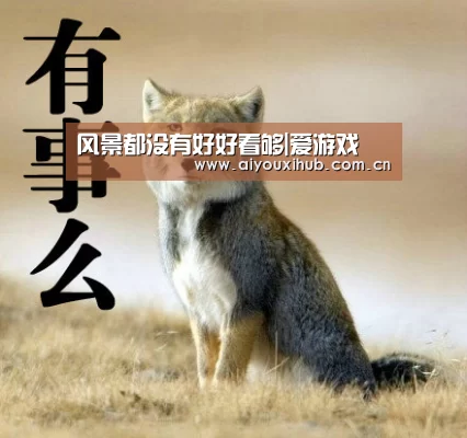 风景都没有好好看够|爱游戏(图3) 爱游戏官网