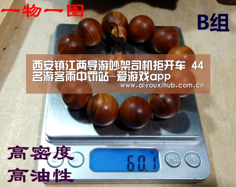西安镇江两导游吵架司机拒开车 44名游客雨中罚站-爱游戏ap