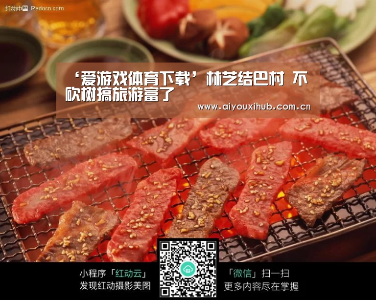‘爱游戏体育下载’林芝结巴村 不砍树搞旅游富了