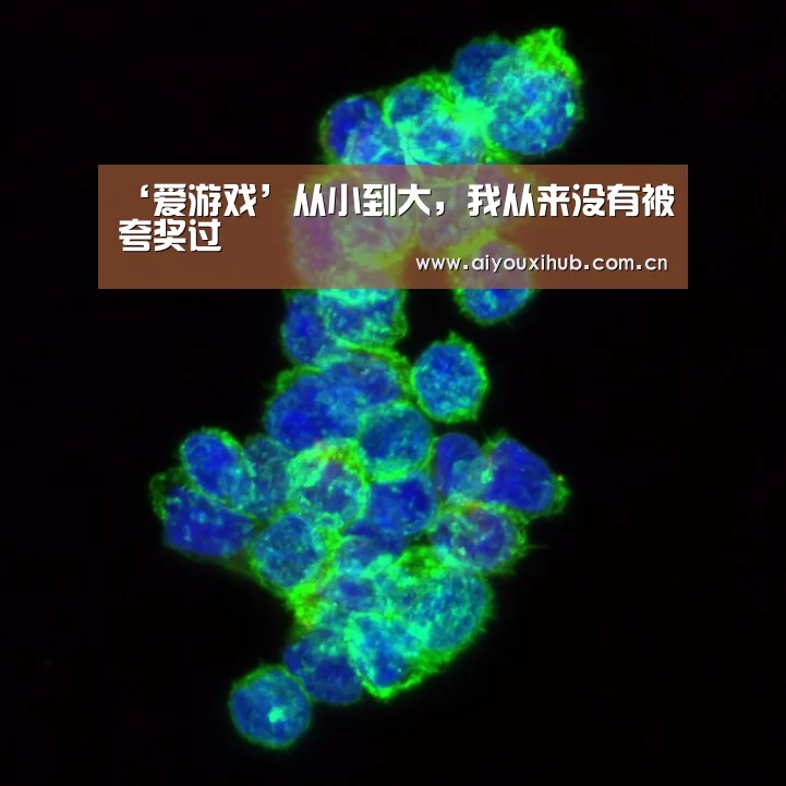 爱游戏体育下载